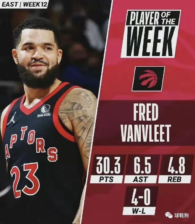 典型代表 典型代表