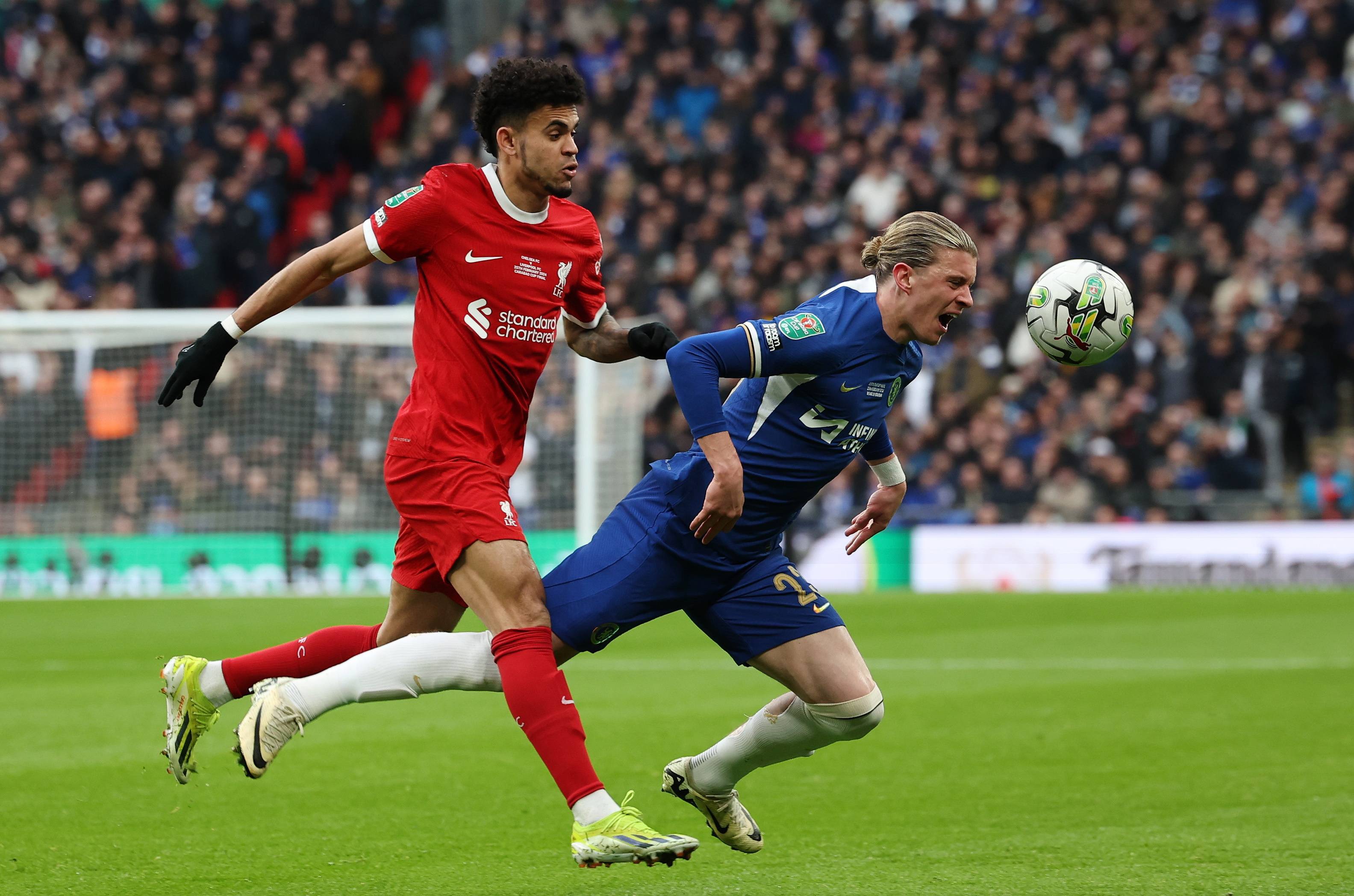 边翼卫把目 边翼卫把目