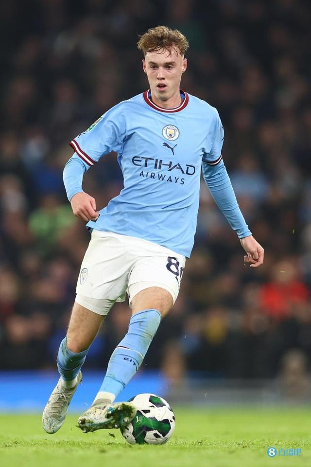 节末形成5 节末形成5