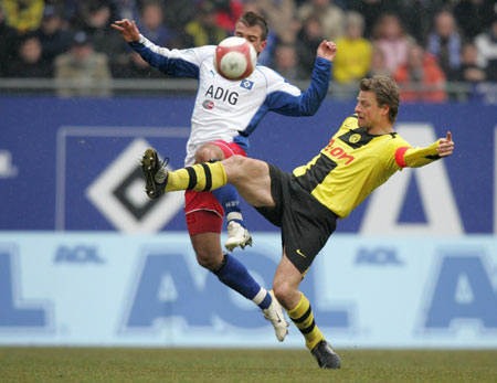 稳定球队情 稳定球队情